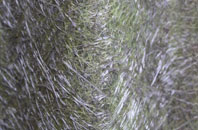 Lochcarron fibreglass roof work